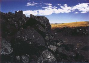 統(tǒng)計(jì)局：12月下旬全國動力煤、無煙煤價(jià)格上漲