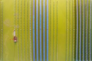 安徽省天長市漁光互補太陽能發(fā)電場