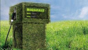 巴西制定了國家生物燃料政策