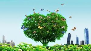 工業(yè)和信息化部組織召開2018年全國工業(yè)節(jié)能與綜合利用工作座談會