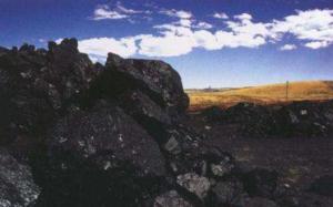 IEA在北京發(fā)布《煤炭市場報(bào)告2017》