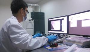 華中大在納米材料電化學儲能領域國際合作取得重要進展