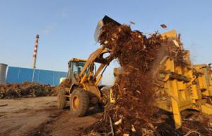 我國生物質(zhì)發(fā)電穩(wěn)步增長累計裝機(jī)達(dá)1488萬千瓦