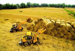 安徽來(lái)安秸稈利用好 增收又環(huán)保