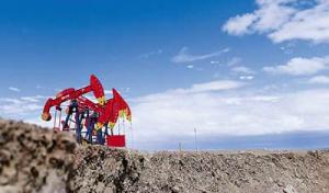 國土資源部油氣中心2018年工作會議召開