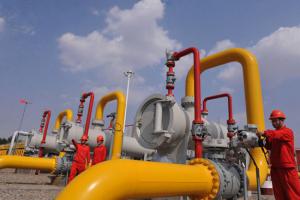 全國政協委員、中石油集團董事長王宜林：正制定措施確保今冬明春天然氣供應