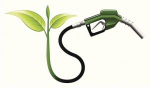 我國生物燃料乙醇擁有巨大發展空間 —產量在全球占比僅為3%，不及美國十分之一