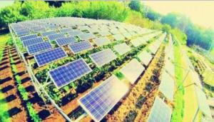 安徽躋身光伏和風電發展“雙綠色”地區