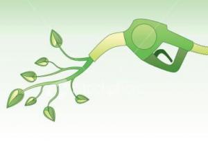 包頭市與北大荒合作開展生物燃料乙醇多聯產項目