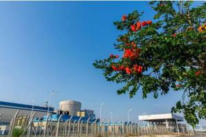 海南！昌江核電二期工程召開可研評審會