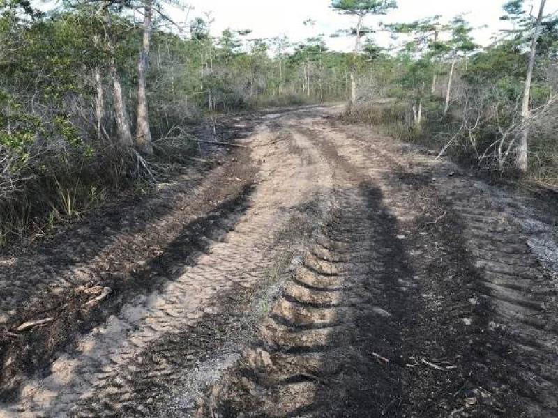 佛羅里達州將禁止在大柏樹國家保護區內勘探石油