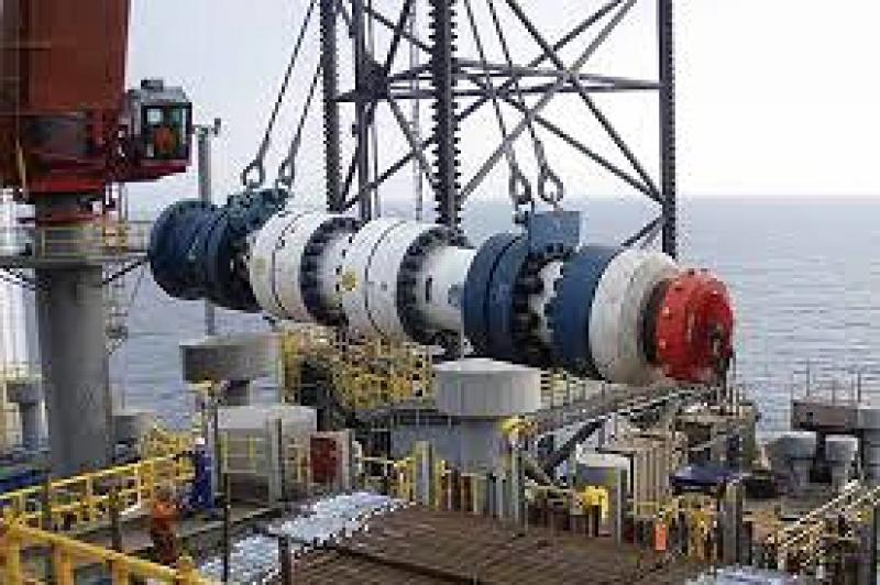 石油資源國務部長告訴外國投資者尼日利亞致力于天然氣驅動的工業化