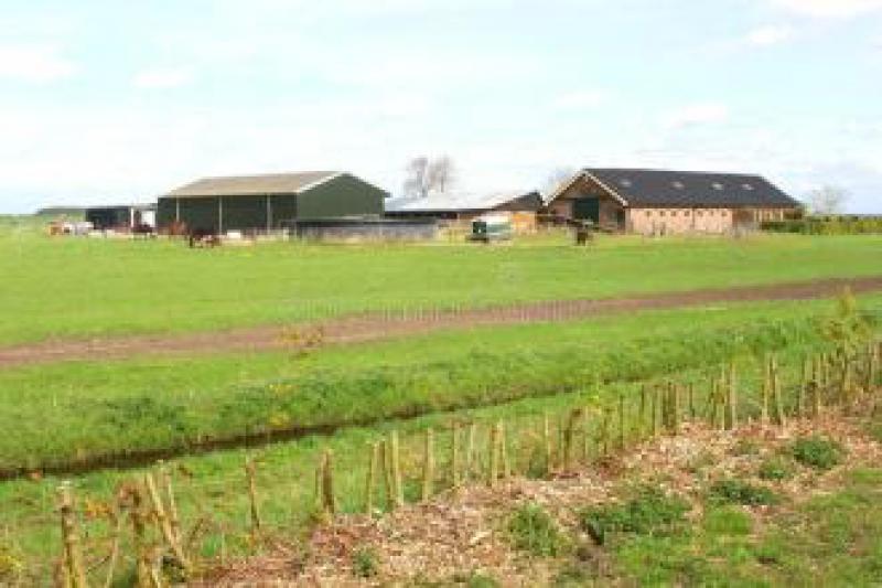 荷蘭的三個太陽能農場得到了一億歐元投資