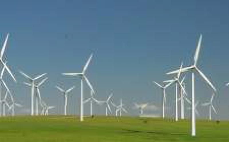風電行業脫離補貼政策 競價上網倒逼行業技術突破