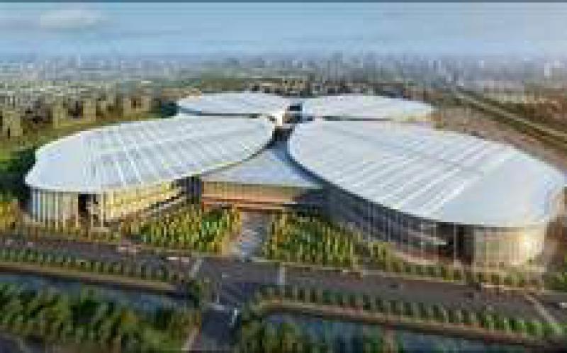 孟振平參加進博會開幕式，加快建設成為具有全球競爭力的世界一流企業，將加強對“一帶一路”沿線國家的能源資源開發與合作